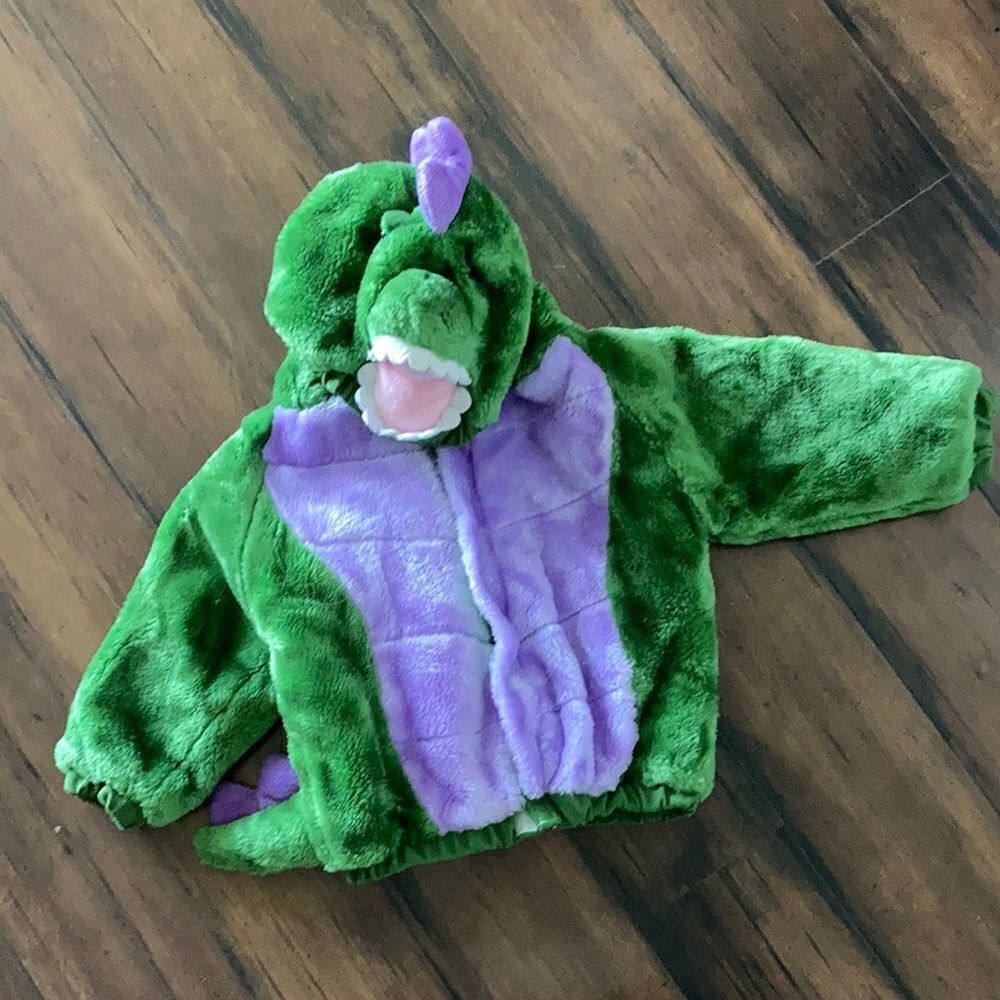 Kid’s Green Purple 🦖 Dinosaur Unisex Halloween Costume Size 12-24 Months
